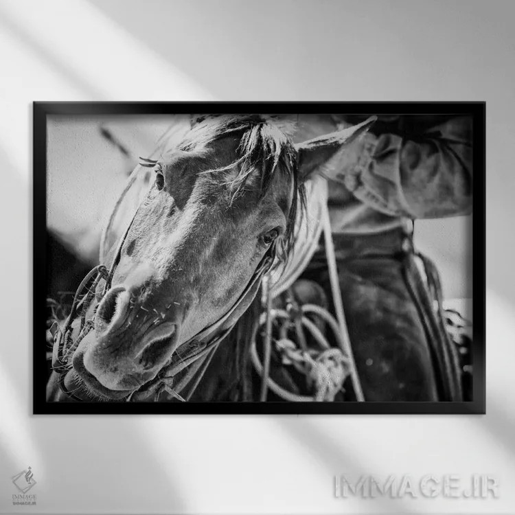 تابلو روح غرب اثر دن بالارد - نمای قابدار مشکی