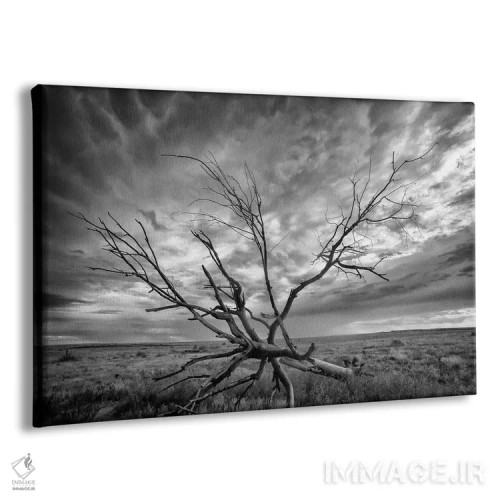 تابلو طوفان کلرادو اثر دن بالارد - نمای پرسپکتیو محصول