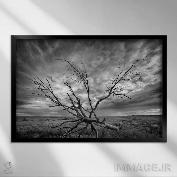 تابلو طوفان کلرادو اثر دن بالارد - نمای قابدار مشکی