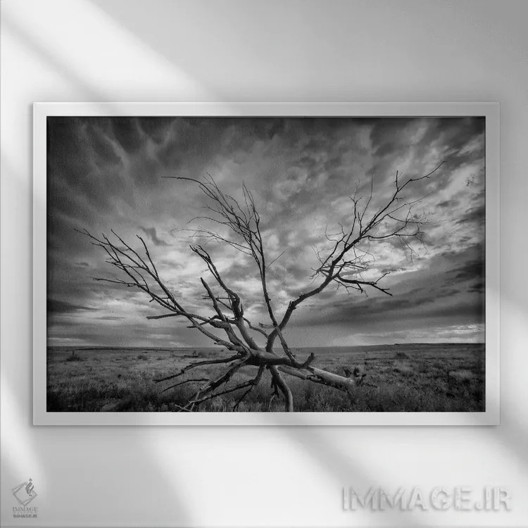 تابلو طوفان کلرادو اثر دن بالارد - نمای قابدار سفید