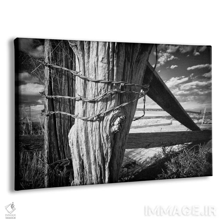 تابلو استواری یا پایداری اثر دن بالارد - نمای پرسپکتیو محصول