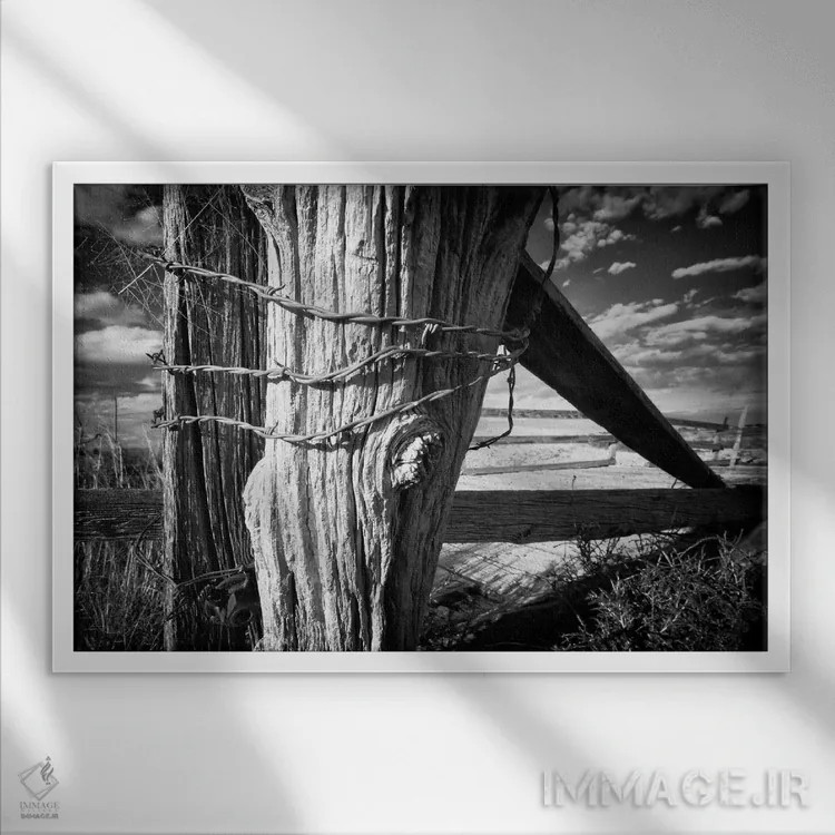 تابلو استواری یا پایداری اثر دن بالارد - نمای قابدار سفید