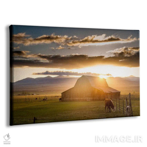 تابلو انبار در کوهستان مرطوب ۱ (طبیعت آمریکا) اثر دن بالارد - نمای پرسپکتیو محصول