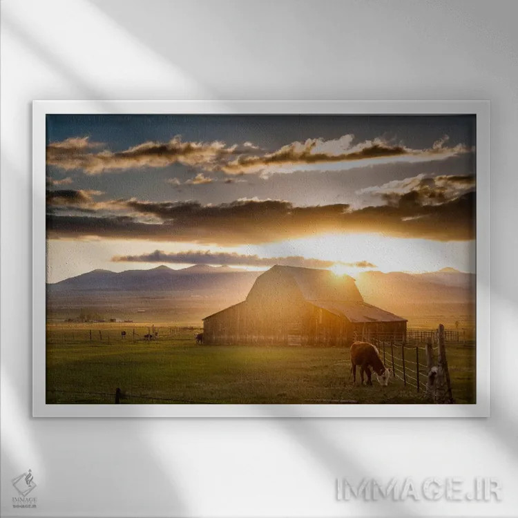 تابلو انبار در کوهستان مرطوب ۱ (طبیعت آمریکا) اثر دن بالارد - نمای قابدار سفید