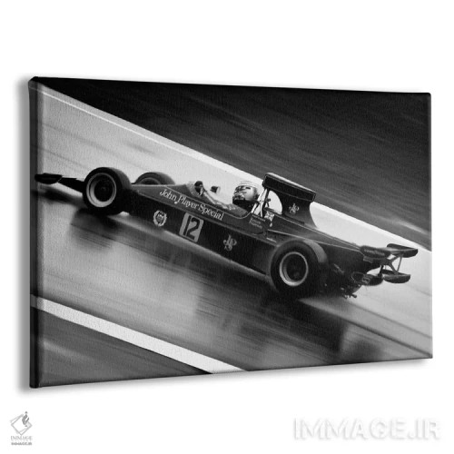 تابلو پیست خیس فرمول یک (سیاه و سفید) اثر هنرمند ناشناس - نمای پرسپکتیو محصول