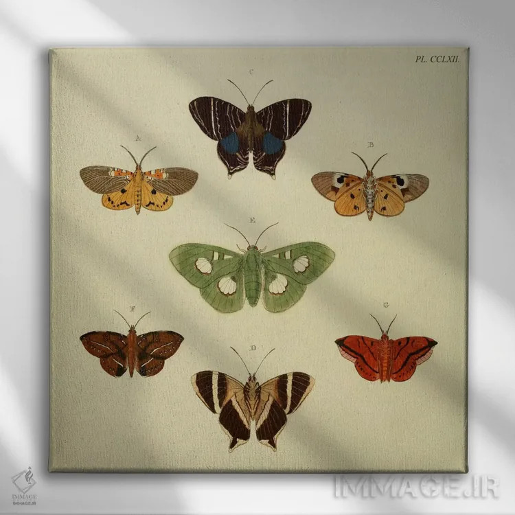 تابلو صفحهٔ شماره ۲۶۲ اثر کرامر و استول (استودیو/شرکت هنری) - نمای روبهرو روی دیوار