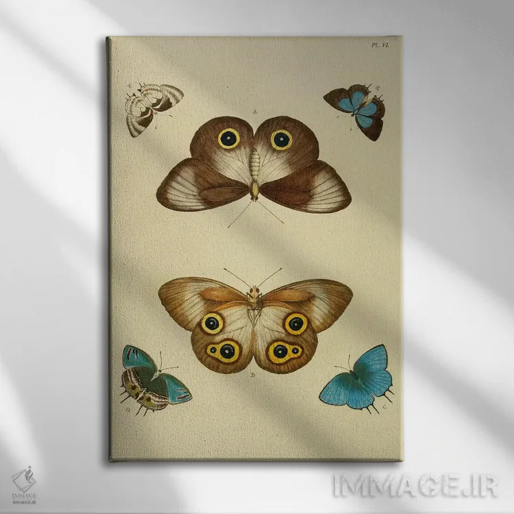 تابلو صفحهٔ شماره ۶ اثر کرامر و استول (استودیو/شرکت هنری) - نمای روبهرو روی دیوار