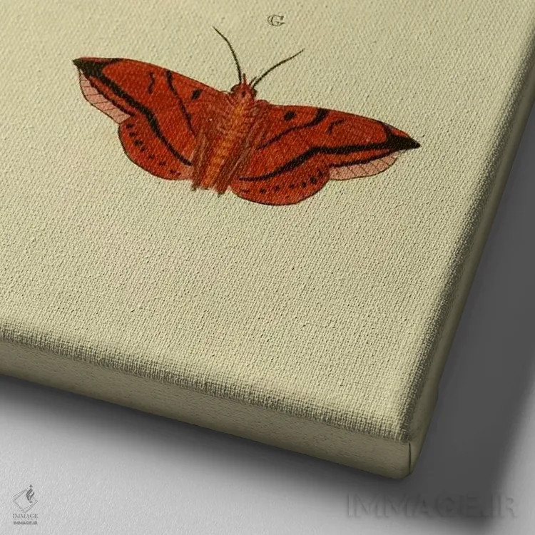 تابلو صفحهٔ شماره ۲۶۲ اثر کرامر و استول (استودیو/شرکت هنری) - نمای نزدیک بافت بوم