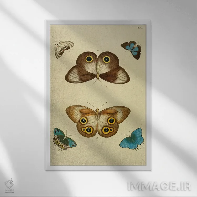 تابلو صفحهٔ شماره ۶ اثر کرامر و استول (استودیو/شرکت هنری) - نمای قابدار سفید