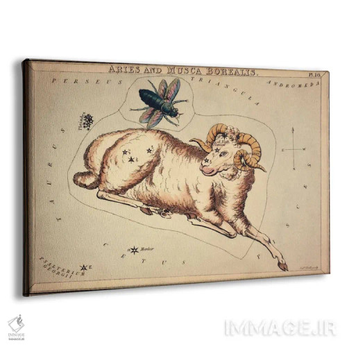 تابلو برج حمل و مگس شمالی، ۱۸۲۵ اثر سیدنی هال - نمای پرسپکتیو محصول