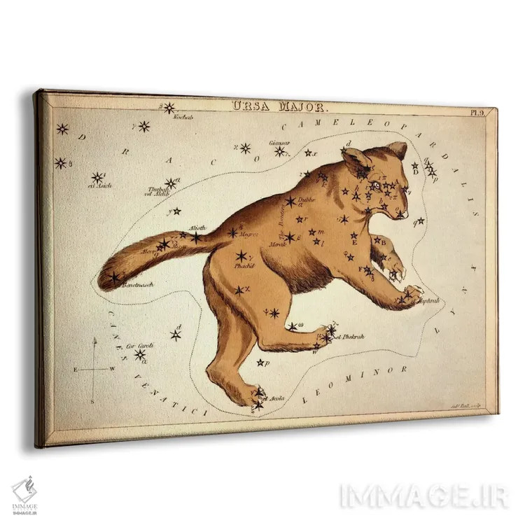 تابلو خرس بزرگ II (صورت فلکی) اثر سیدنی هال - نمای پرسپکتیو محصول