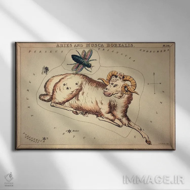 تابلو برج حمل و مگس شمالی، ۱۸۲۵ اثر سیدنی هال - نمای روبهرو روی دیوار