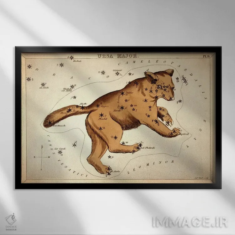 تابلو خرس بزرگ II (صورت فلکی) اثر سیدنی هال - نمای قابدار مشکی