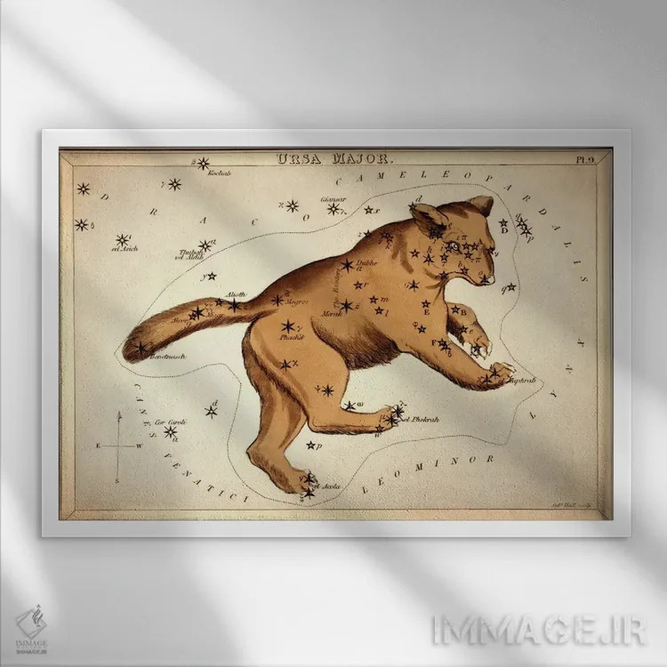 تابلو خرس بزرگ II (صورت فلکی) اثر سیدنی هال - نمای قابدار سفید