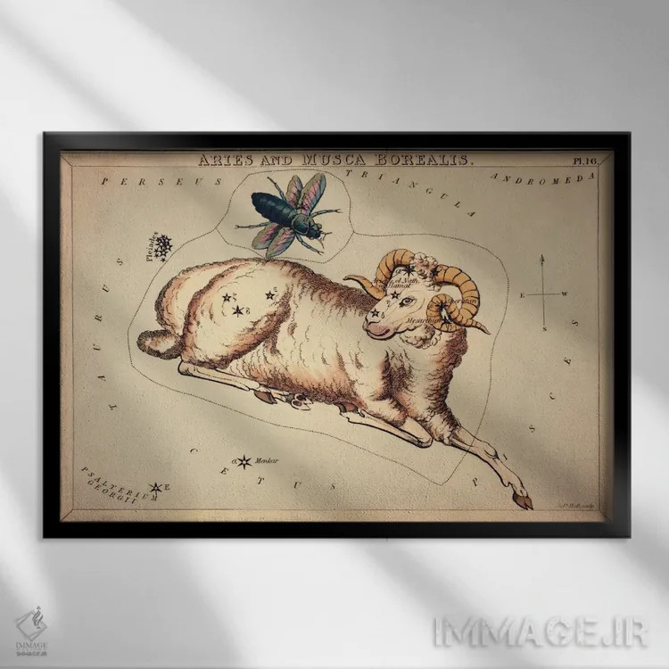 تابلو برج حمل و مگس شمالی، ۱۸۲۵ اثر سیدنی هال - نمای قابدار مشکی