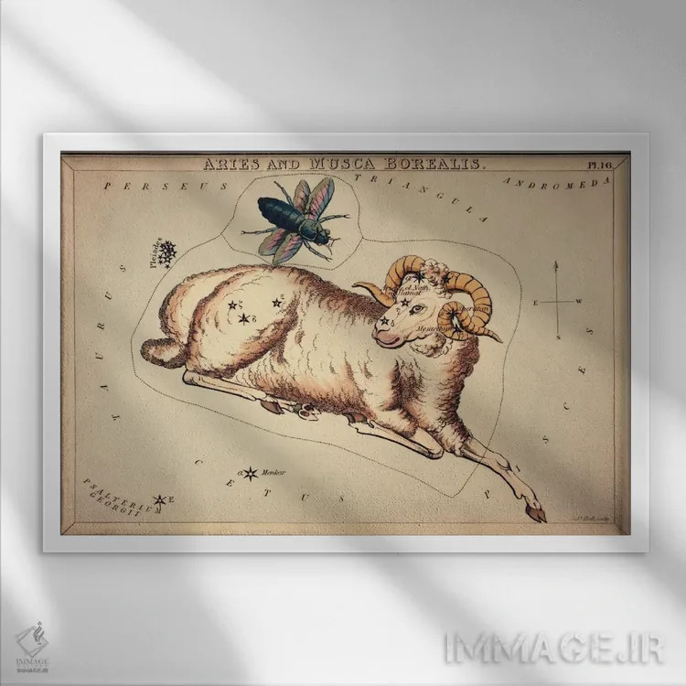 تابلو برج حمل و مگس شمالی، ۱۸۲۵ اثر سیدنی هال - نمای قابدار سفید