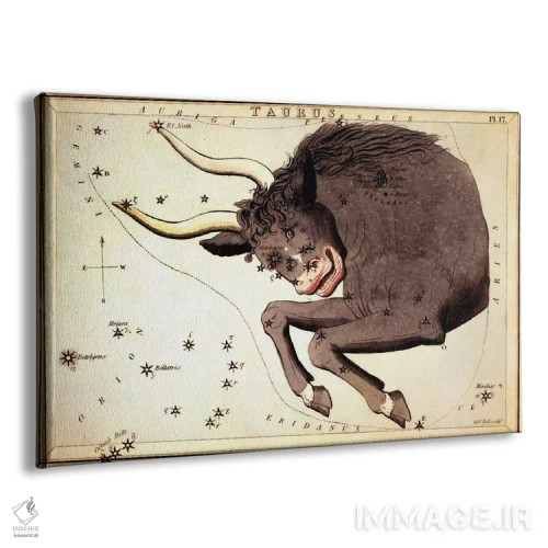 تابلو صورت فلکی گاو II اثر سیدنی هال - نمای پرسپکتیو محصول