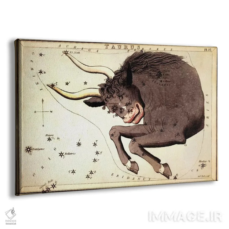 تابلو صورت فلکی گاو II اثر سیدنی هال - نمای پرسپکتیو محصول