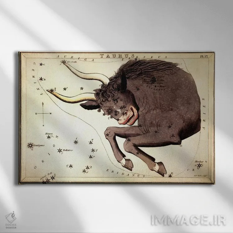 تابلو صورت فلکی گاو II اثر سیدنی هال - نمای روبهرو روی دیوار