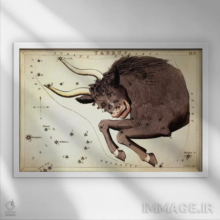 تابلو صورت فلکی گاو II اثر سیدنی هال - نمای قابدار سفید
