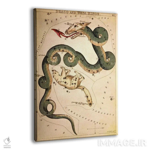 تابلو اژدها و خرس کوچک (صورتهای فلکی) اثر سیدنی هال - نمای پرسپکتیو محصول