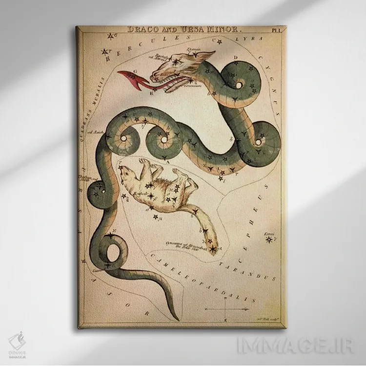تابلو اژدها و خرس کوچک (صورتهای فلکی) اثر سیدنی هال - نمای روبهرو روی دیوار