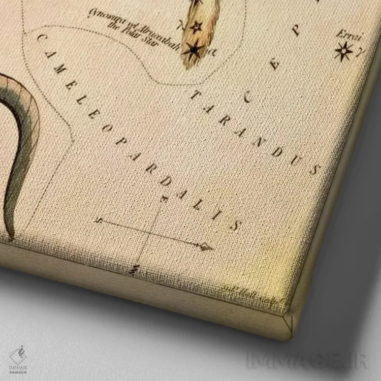 تابلو اژدها و خرس کوچک (صورتهای فلکی) اثر سیدنی هال - نمای نزدیک بافت بوم