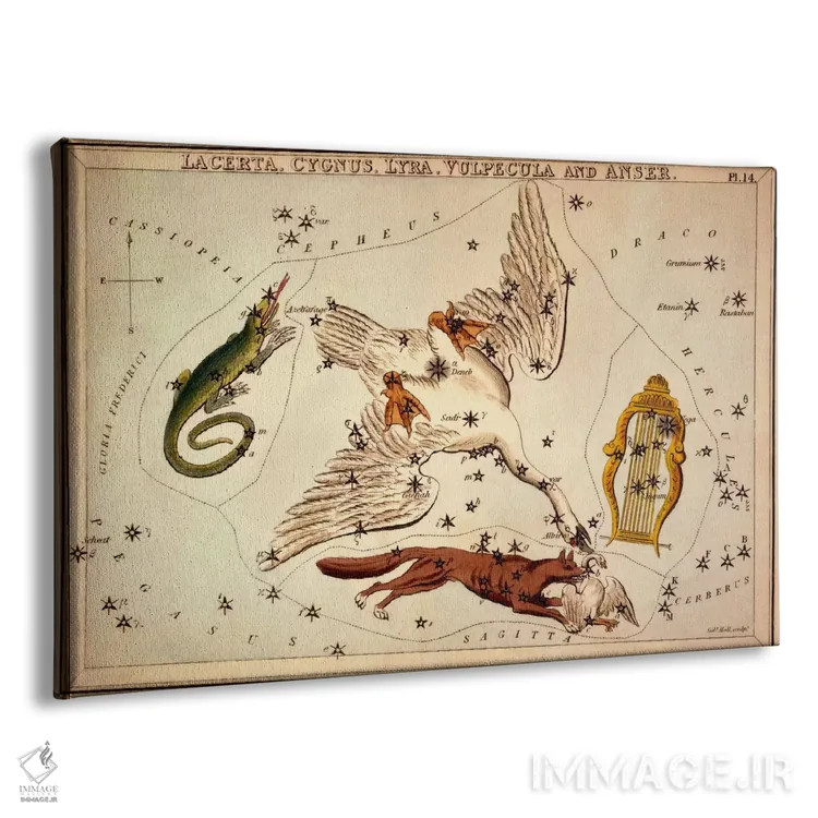 تابلو لاکرتا، قو، چنگ، روباه کوچولو و غاز اثر سیدنی هال - نمای پرسپکتیو محصول