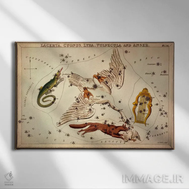 تابلو لاکرتا، قو، چنگ، روباه کوچولو و غاز اثر سیدنی هال - نمای روبهرو روی دیوار