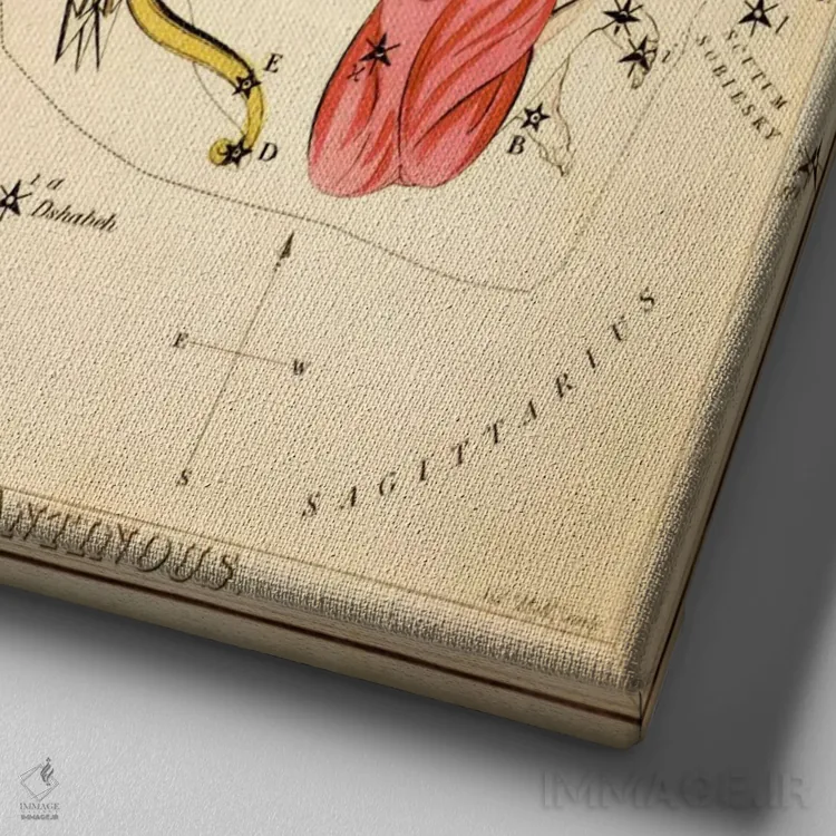 تابلو دلفین، پیکان، عقاب و آنتینوس (صورتهای فلکی) اثر سیدنی هال - نمای نزدیک بافت بوم