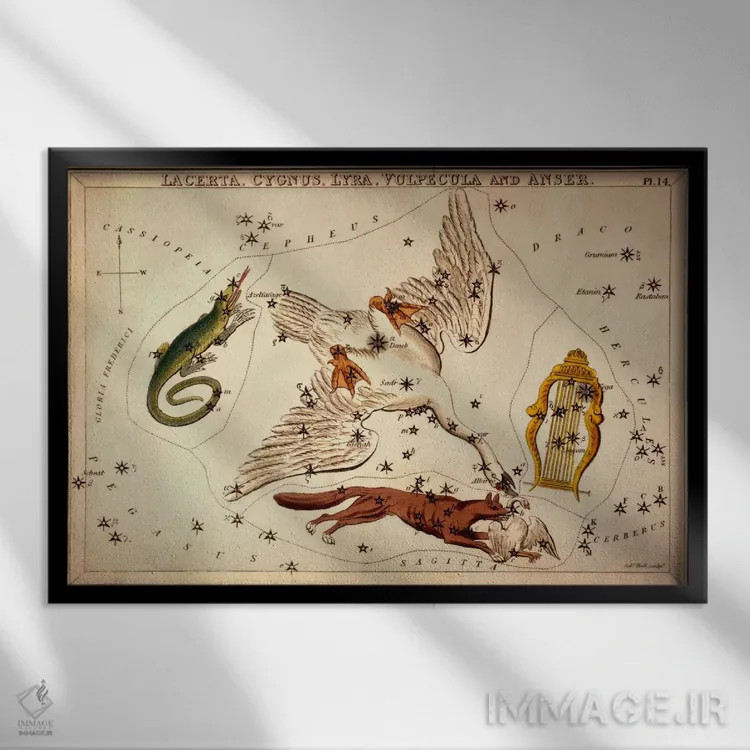 تابلو لاکرتا، قو، چنگ، روباه کوچولو و غاز اثر سیدنی هال - نمای قابدار مشکی