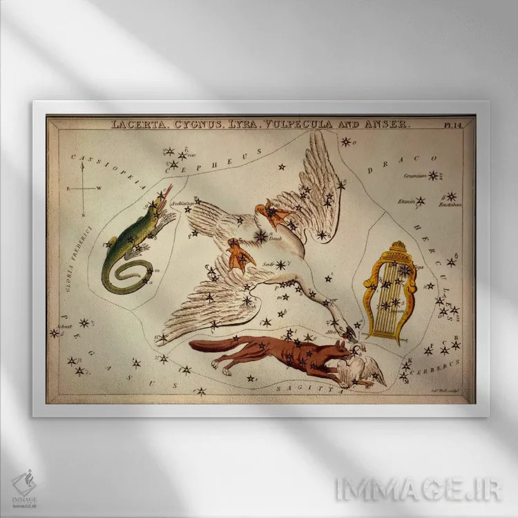 تابلو لاکرتا، قو، چنگ، روباه کوچولو و غاز اثر سیدنی هال - نمای قابدار سفید