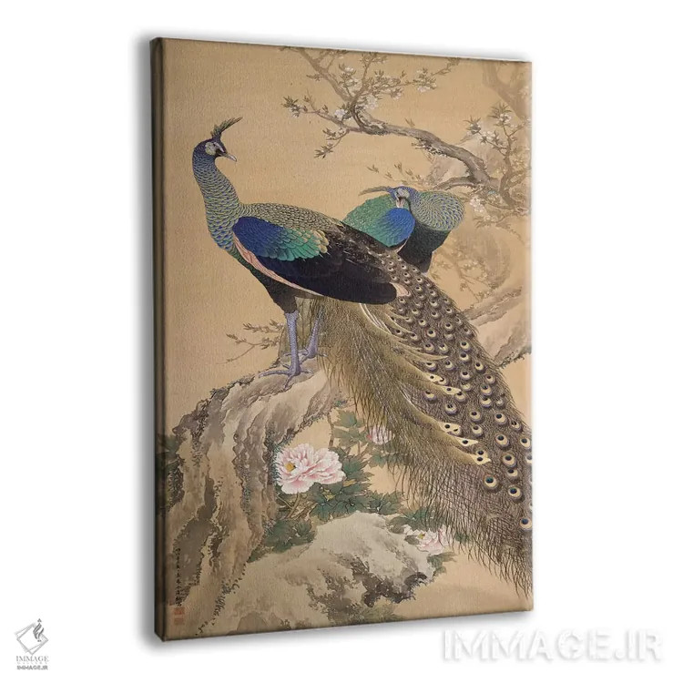 تابلو یک جفت طاووس در بهار اثر ایماو کینن - نمای پرسپکتیو محصول