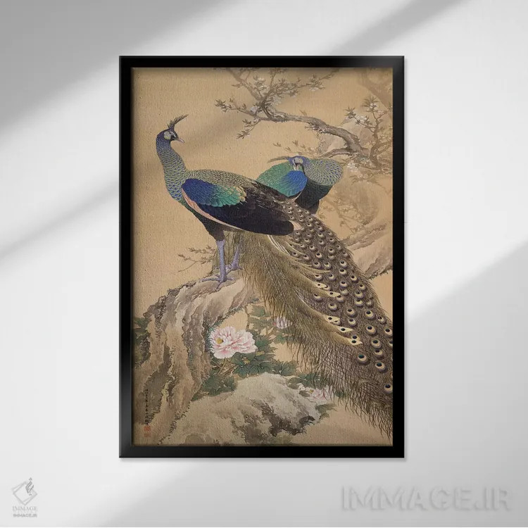 تابلو یک جفت طاووس در بهار اثر ایماو کینن - نمای قابدار مشکی
