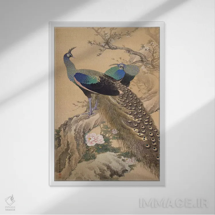 تابلو یک جفت طاووس در بهار اثر ایماو کینن - نمای قابدار سفید