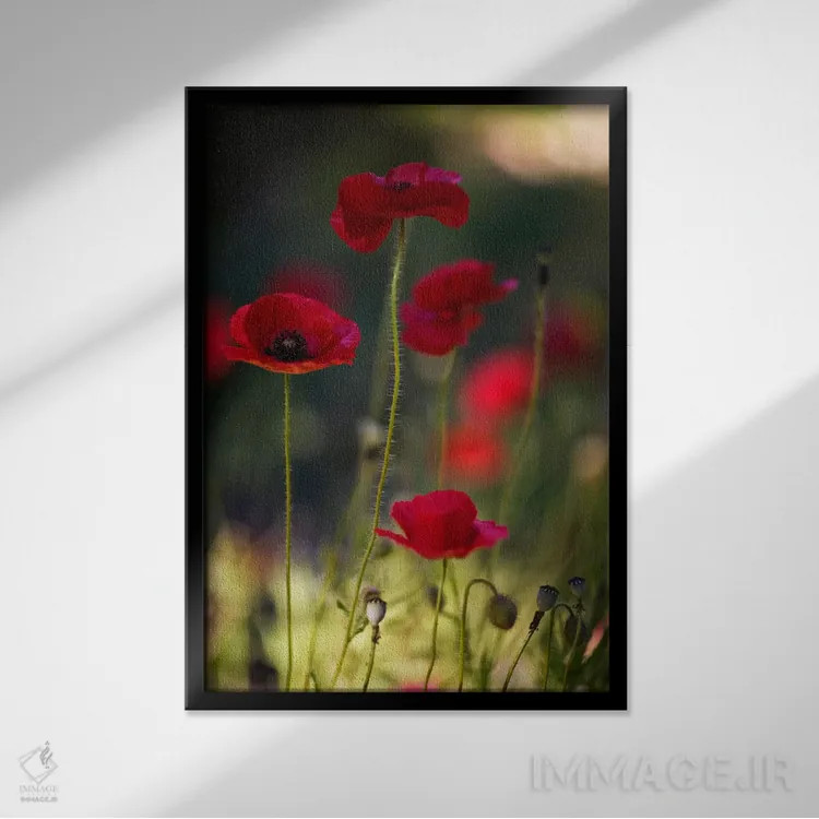 تابلو صعود مورفئوس (اسطوره یونانی) اثر جفری آنسل آگرونس - نمای قابدار مشکی