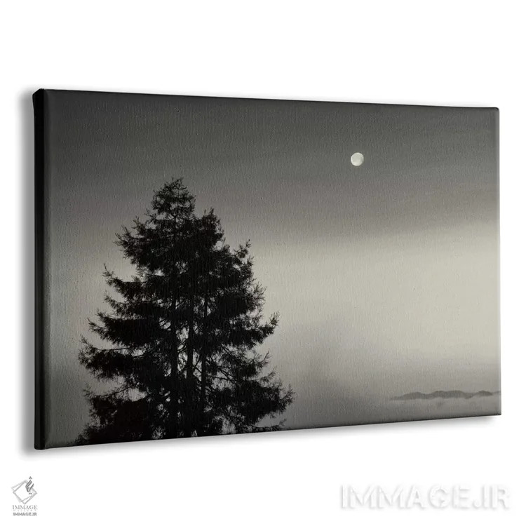 تابلو در آغاز کوهی نیست اثر جفری آنسل آگرونس - نمای پرسپکتیو محصول