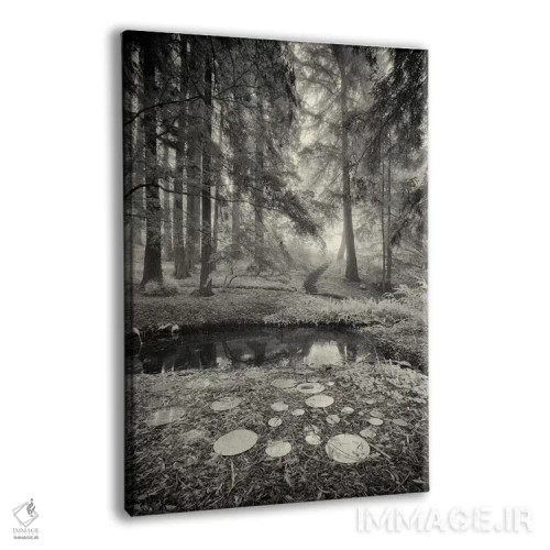 تابلو بازتابهای آیینهای اثر جفری آنسل آگرونس - نمای پرسپکتیو محصول