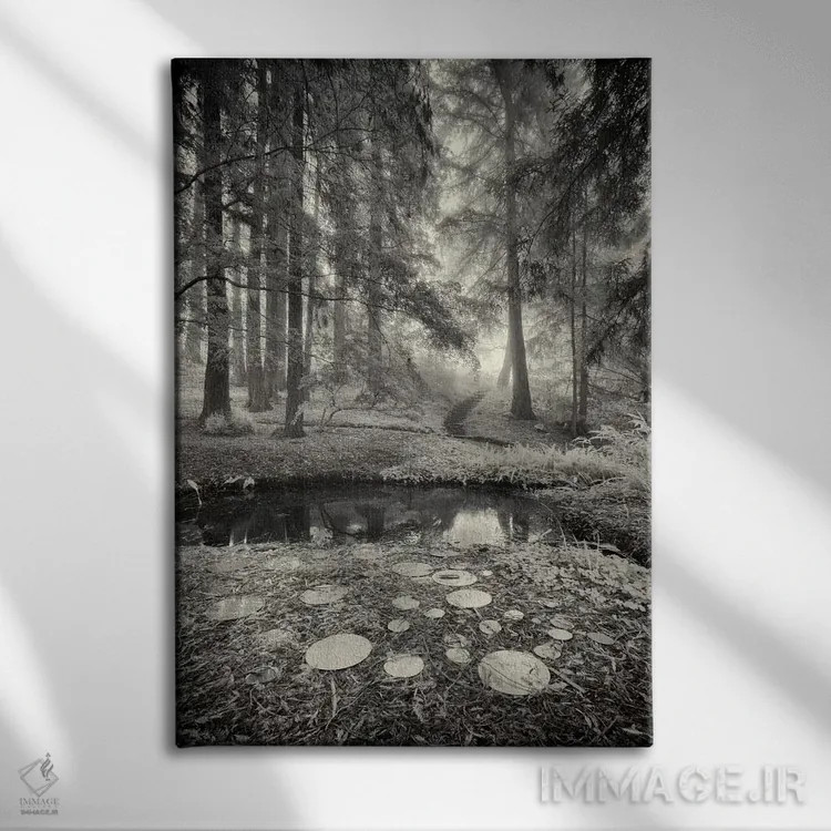 تابلو بازتابهای آیینهای اثر جفری آنسل آگرونس - نمای روبهرو روی دیوار