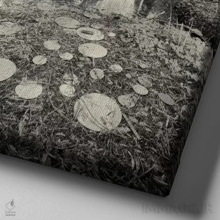 تابلو بازتابهای آیینهای اثر جفری آنسل آگرونس - نمای نزدیک بافت بوم