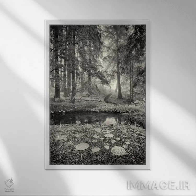 تابلو بازتابهای آیینهای اثر جفری آنسل آگرونس - نمای قابدار سفید