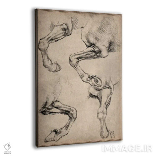 تابلو اسب لئوناردو اثر لئوناردو داوینچی (نقاش و مخترع ایتالیایی) - نمای پرسپکتیو محصول