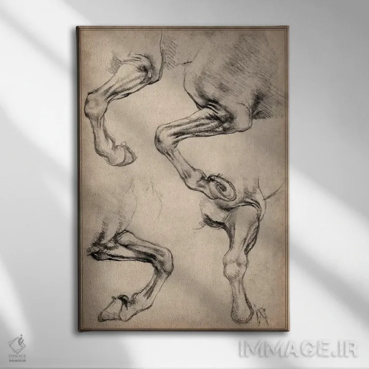 تابلو اسب لئوناردو اثر لئوناردو داوینچی (نقاش و مخترع ایتالیایی) - نمای روبهرو روی دیوار