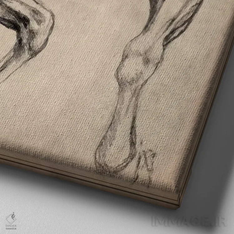 تابلو اسب لئوناردو اثر لئوناردو داوینچی (نقاش و مخترع ایتالیایی) - نمای نزدیک بافت بوم