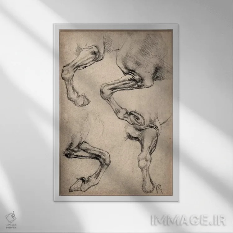 تابلو اسب لئوناردو اثر لئوناردو داوینچی (نقاش و مخترع ایتالیایی) - نمای قابدار سفید