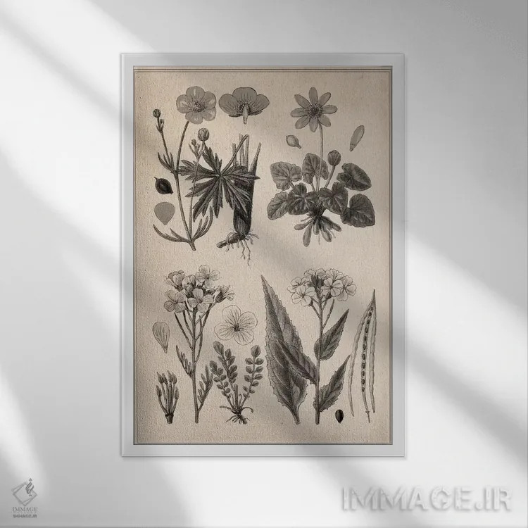 تابلو طرح گیاهی بریتانیایی جدید اثر هنرمند ناشناس - نمای قابدار سفید