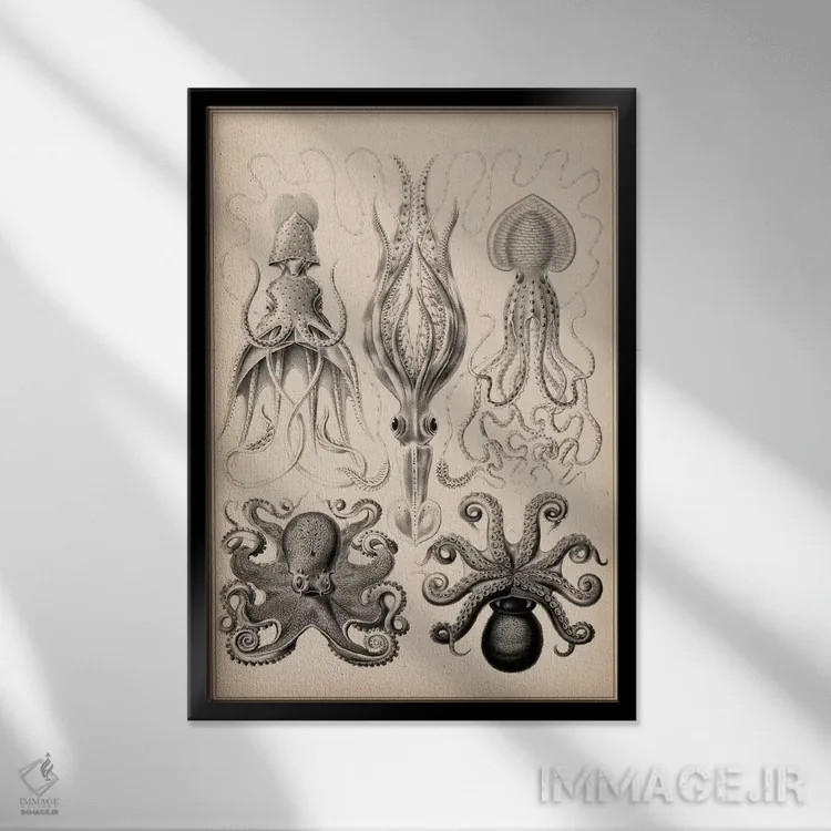 تابلو سرپاور (گاموخونیا) اثر هنرمند ناشناس - نمای قابدار مشکی