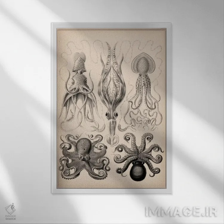 تابلو سرپاور (گاموخونیا) اثر هنرمند ناشناس - نمای قابدار سفید