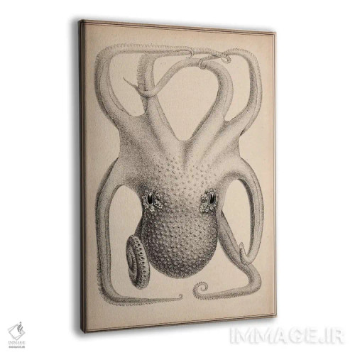 تابلو سرپاوگان جزایر هاوایی اثر استیلمن - نمای پرسپکتیو محصول