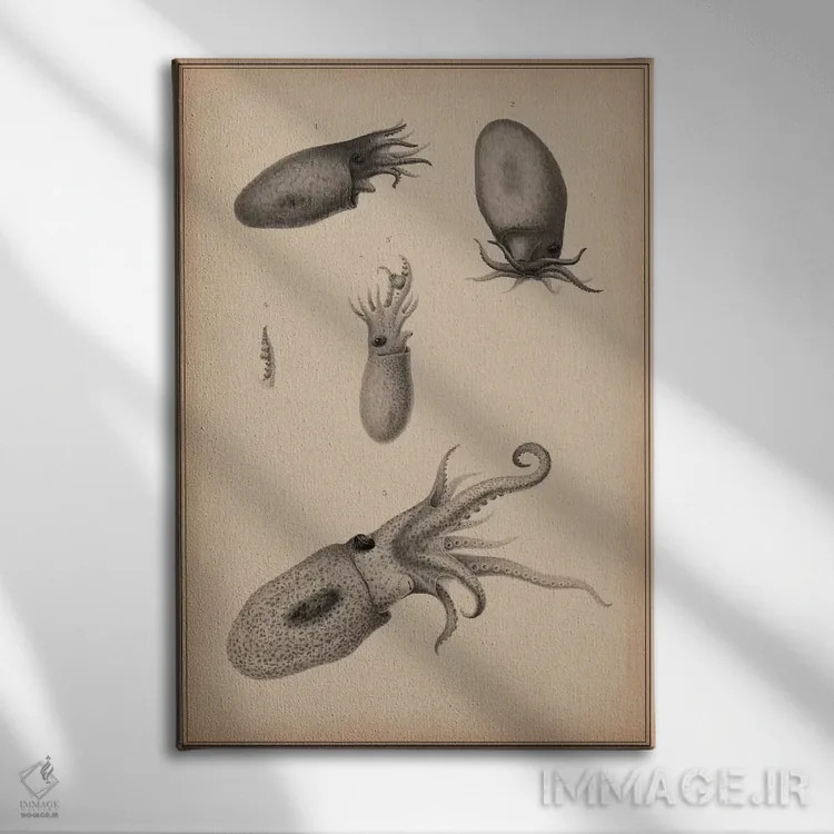 تابلو شقایق حیوانی: اُکتاپوس، سرپاورها اثر هنرمند ناشناس - نمای روبهرو روی دیوار